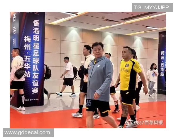 中国体育明星风采大汇聚展现多元魅力与辉煌成就