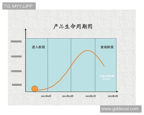 体育产品生命周期的各个阶段及其市场策略分析与应用探讨