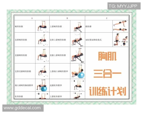全面解析哑铃练习方法助你塑造完美身材的技巧与注意事项