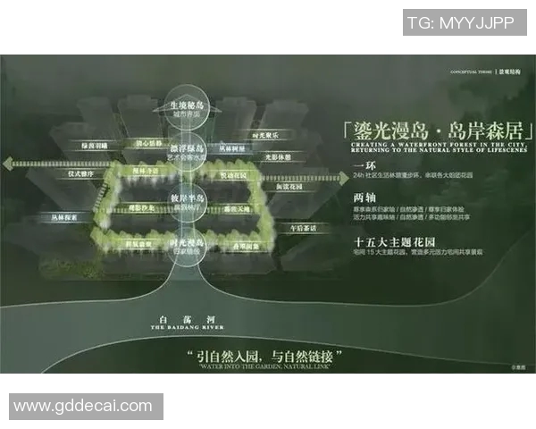芭蕾舞者与篮球明星的完美结合探讨运动与艺术的交融之美