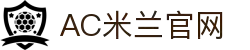米兰(中国)体育官方网站-AC Milan