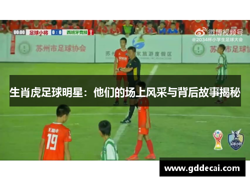 生肖虎足球明星：他们的场上风采与背后故事揭秘