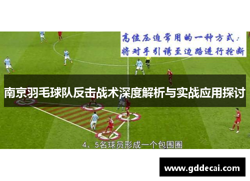 南京羽毛球队反击战术深度解析与实战应用探讨
